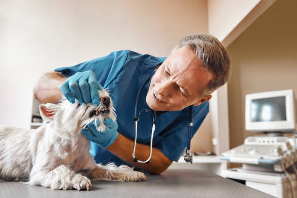 Best Weekend Emergency Dentist in College Park, GA